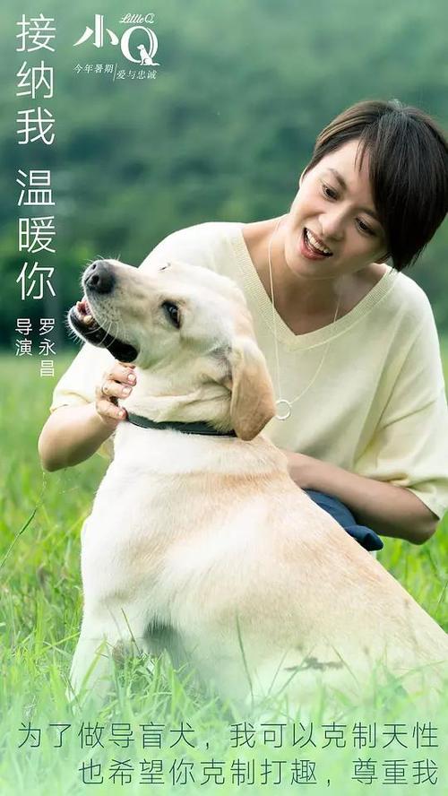 切斯特大学文凭办理